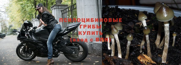 ALPHA-PVP Саяногорск