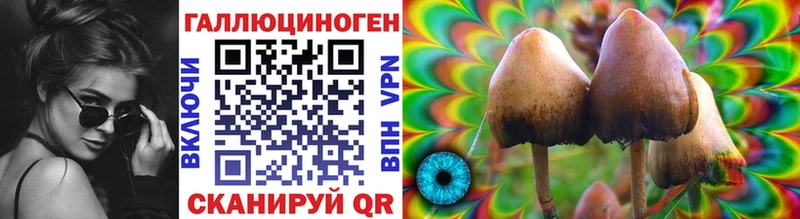 Галлюциногенные грибы GOLDEN TEACHER Свободный