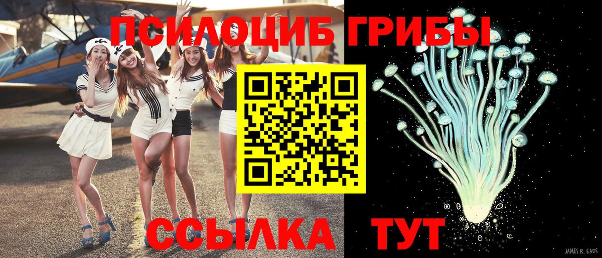 Псилоцибиновые грибы мухоморы  Вход с VPN  как найти закладки  Псилоцибиновые грибы мухоморы  Свободный 